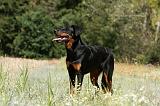 BEAUCERON 773